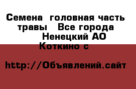 Семена (головная часть))) травы - Все города  »    . Ненецкий АО,Коткино с.